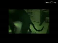 A nighttime webcam shows the dog fucking the babysitter.